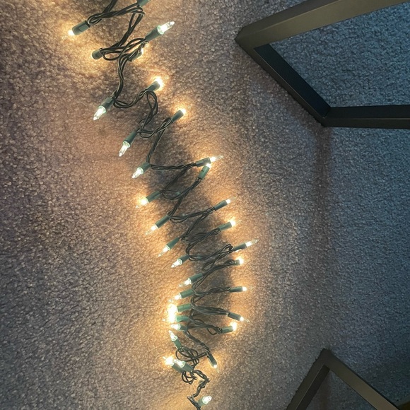 Holiday lights (indoor/outdoor) - Picture 3 of 3